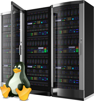 Linux Dedicated Servers