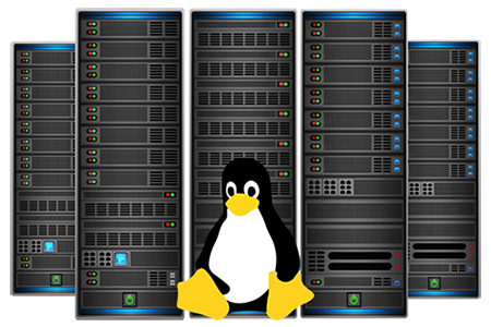 fast and secure Linux Hosting